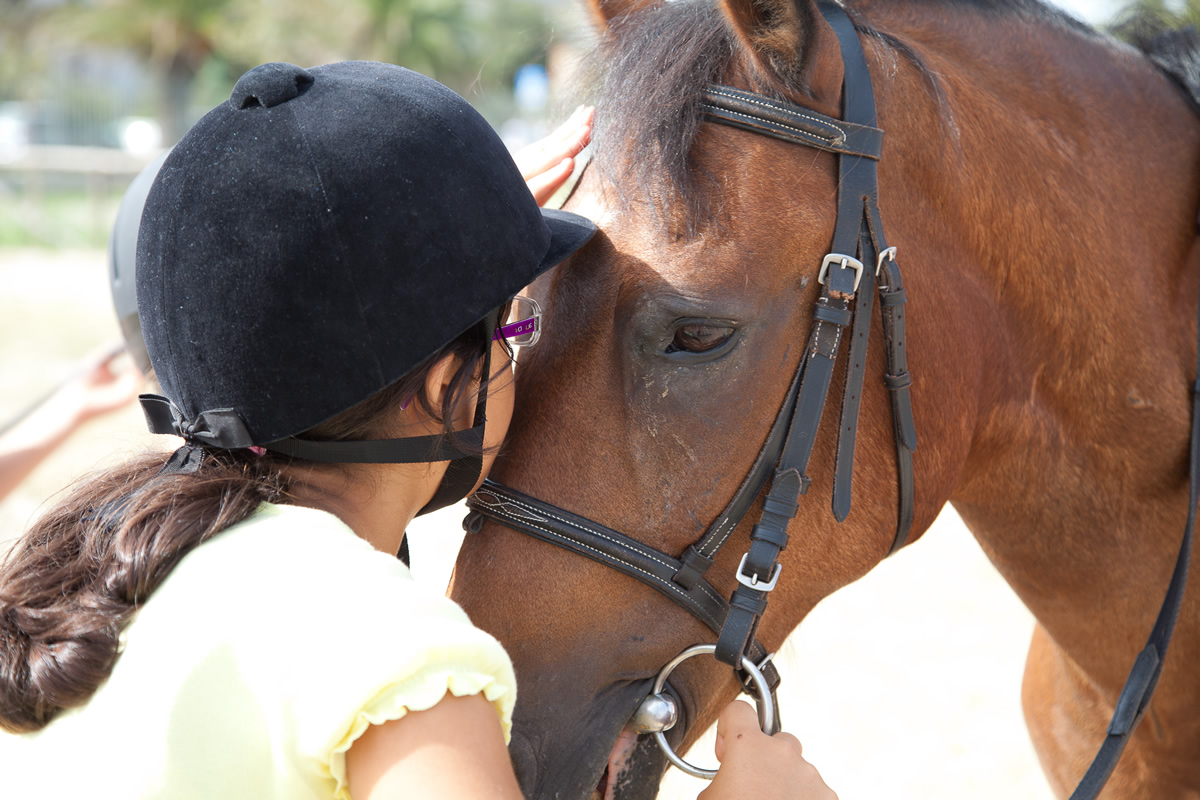 Learn To Ride Pawsitively Pets Kids Camp